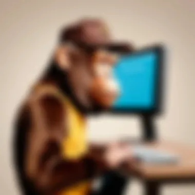 User Interface Challenges in Mailchimp Infographic depicting Mailchimp's user interface challenges impacting speed
