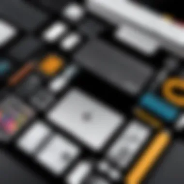Essential Tools for New Designers Beginner-friendly tools for graphic design