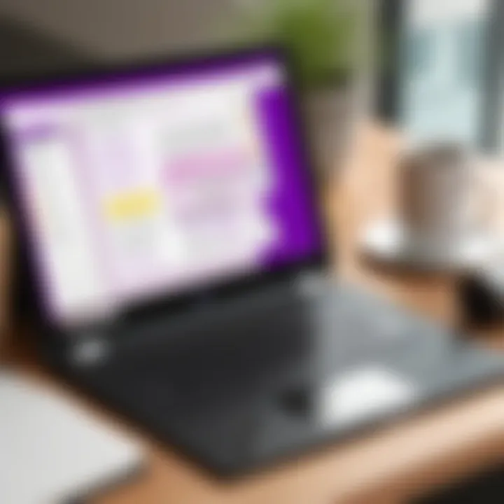 Advanced features of OneNote for productivity optimization