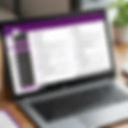 Overview of Microsoft OneNote interface showcasing organization features