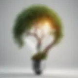 Abstract vision with a tree growing from a light bulb