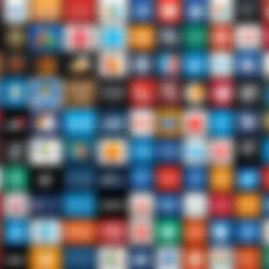Various Ad Design Software Logos Collage of different ad design software logos