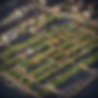 Empowering Urban Agriculture Sustainable Urban Farming