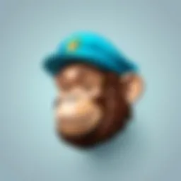 Overview of Mailchimp's user interface