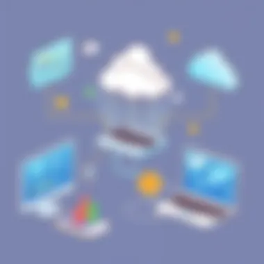 Potential Challenges in SaaS Adoption Challenges faced by organizations implementing SaaS