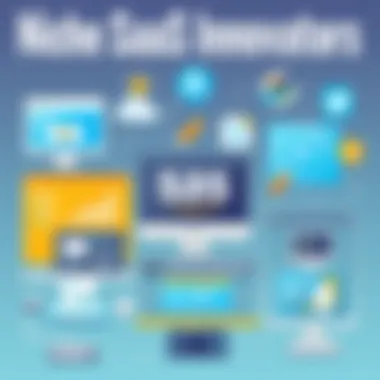 Niche SaaS Innovators Innovative examples of niche SaaS applications