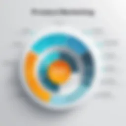 Conceptual diagram illustrating product marketing phases