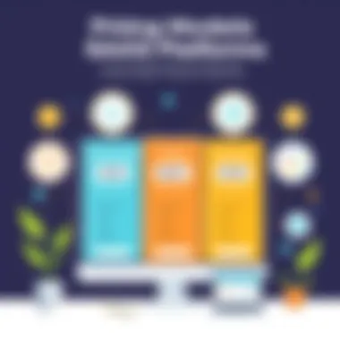 Pricing Models of SaaS Platforms Visual representation of pricing models for SaaS platforms