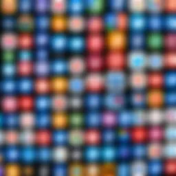 An overview of different social media platforms showcasing their logos and interfaces.