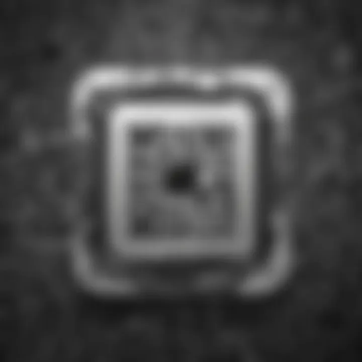 Exploring the Versatility of Unitage QR Codes