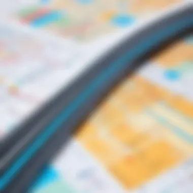 Dynamic Visualization of Project Roadmaps Visualizing Project Roadmaps